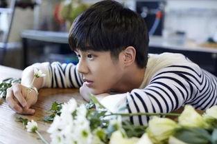 娱乐圈吃瓜少年日常,吃瓜少年的日常揭秘