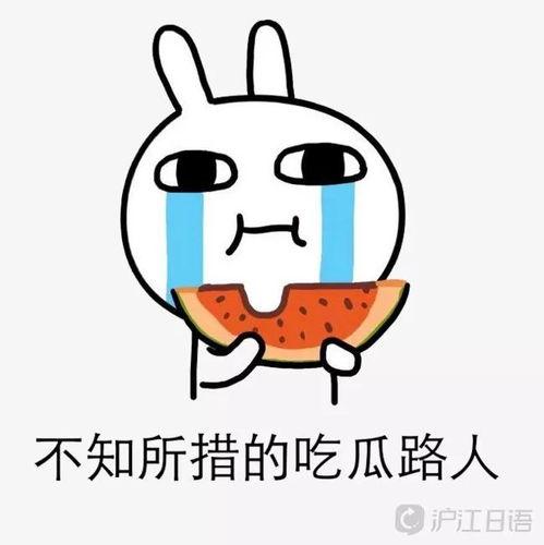 娱乐吃瓜酱经典语录大全,笑料百出，智慧闪耀