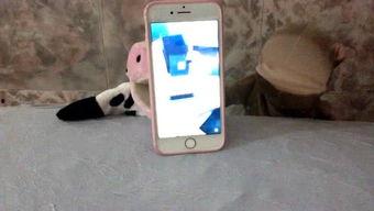 娱乐吃瓜酱手机,揭秘娱乐圈幕后故事，带你领略明星生活点滴