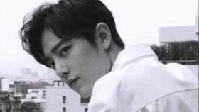 肖战事件娱乐圈吃瓜视频