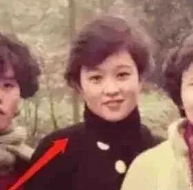 娱乐圈中年吃瓜少女,揭秘中年吃瓜少女生存法则